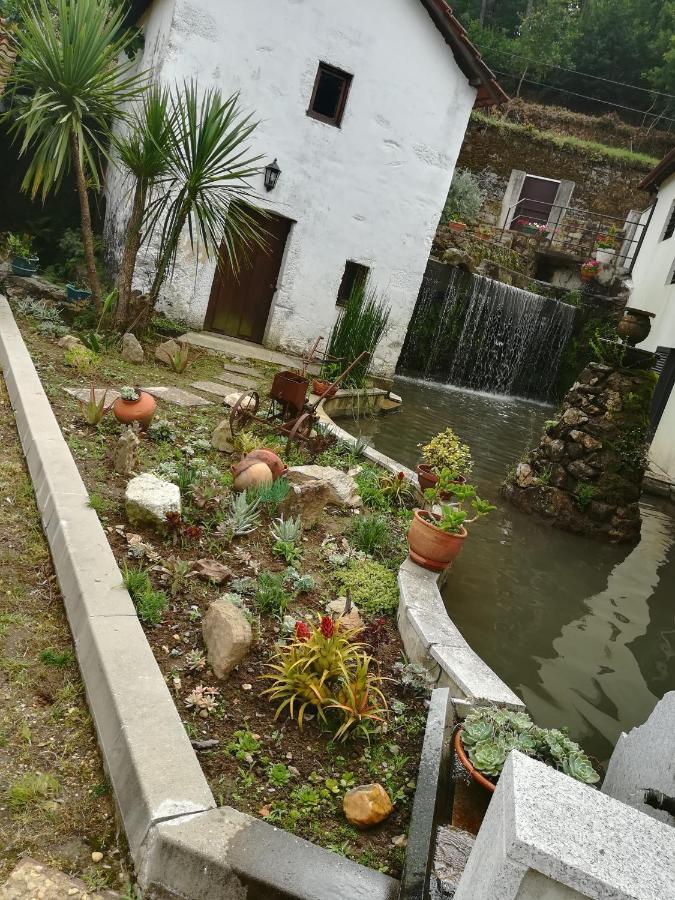 Caldas de Sao Jorge Casa Do Engenho旅馆 外观 照片