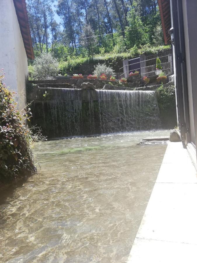 Caldas de Sao Jorge Casa Do Engenho旅馆 外观 照片
