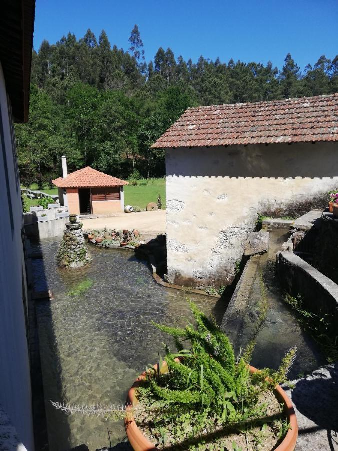 Caldas de Sao Jorge Casa Do Engenho旅馆 外观 照片