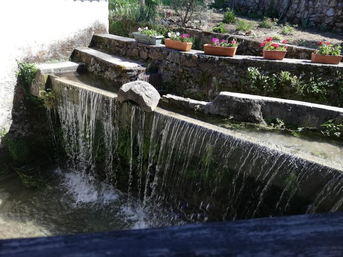 Caldas de Sao Jorge Casa Do Engenho旅馆 外观 照片